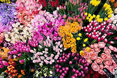 《逃生：试炼》将于5月18日以抢先体验形式推出